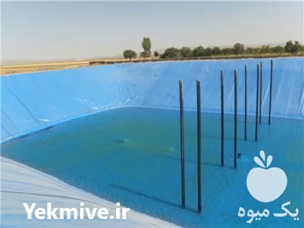 فروش پوشش استخر کشاورزی با ورق ژئوممبران در تهران در گروه خرید فروش انواع پوشش ها و ورق ها - پلی استر پلی کربنات نایلون در یکمیوه -عکس1