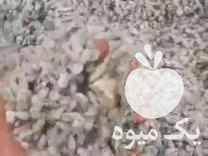 فروش پنبه دانه دشت مغان درجه یک در مشهد در گروه خرید فروش عمده سایر محصولات زراعی سر زمین در یکمیوه -عکس1