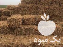 فروش کاه سویا پرس در آمل در گروه خوراک دام و طیور - پرواری شیری علوفه یونجه در یکمیوه -عکس1