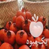 فروش انار خشک و بلوط مناسب شب یلدا در تهران در گروه خرید فروش عمده انار - ساوه شیراز شیرین ترش در یکمیوه