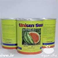 فروش بذر هندوانه یونی ژن در زنجان در گروه خرید فروش بذر - انواع محصول کشاورزی گوجه کتان میوه درخت در یکمیوه