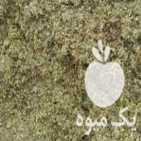 فروش ذرت دانه دار در اقبالیه در گروه خرید فروش عمده ذرت - بلال مکزیکی علوفه دانه کشاورز در یکمیوه