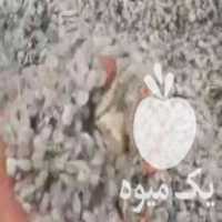 فروش پنبه دانه دشت مغان درجه یک در مشهد در گروه خرید فروش عمده سایر محصولات زراعی سر زمین در یکمیوه