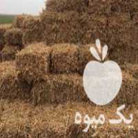 فروش کاه سویا پرس در آمل در گروه خوراک دام و طیور - پرواری شیری علوفه یونجه در یکمیوه