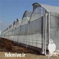 فروش ساخت گلخانه در تهران در گروه سازنده - گلخانه باغ مدرن سالن صنعتی سوله انبار در یکمیوه