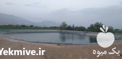 تولید فروش و نصب ورق‌ ژئوممبران و ژئوتکستایل در اصفهان در گروه خرید فروش انواع پوشش ها و ورق ها - پلی استر پلی کربنات نایلون در یکمیوه -عکس1