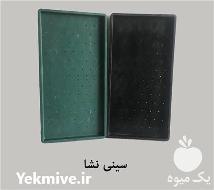 فروش سینی نشاء برنج در تهران در گروه خرید فروش نشا - انواع گوجه برنج کاهو پیاز کاری فرنگی در یکمیوه -عکس1