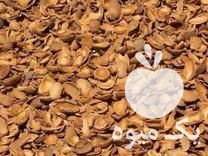 خریدار پوست بادام و گردو در یزد در گروه گردو - کاغذی سنگی سوزنی خوشه ای توسرکان در یکمیوه -عکس1