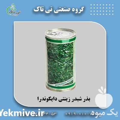 فروش بذر چمن شبدر زینتی دایکوندرا در تهران در گروه خرید فروش ابزار ها و تجهیزات کشاورزی - دستی برقی ماشینی بیل کلنگ در یکمیوه -عکس1