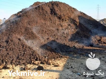 فروش کود گاوی پوسیده در تهران در گروه خرید فروش کود و مواد شیمیایی - اوره پتاس مرغی کمپوست آهن در یکمیوه -عکس1