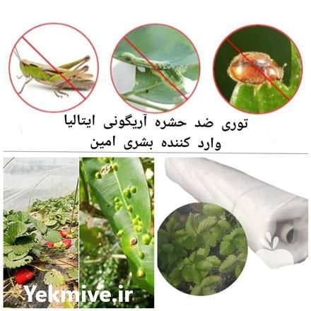 فروش توری ضد حشره در تهران در گروه خرید فروش انواع پوشش ها و ورق ها - پلی استر پلی کربنات نایلون در یکمیوه -عکس1