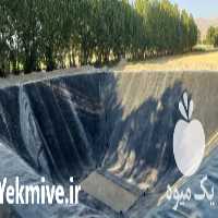 تولید فروش و نصب ورق‌های ژئوممبران در اصفهان در گروه خرید فروش انواع پوشش ها و ورق ها - پلی استر پلی کربنات نایلون در یکمیوه