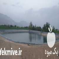 تولید فروش و نصب ورق‌ ژئوممبران و ژئوتکستایل در اصفهان در گروه خرید فروش انواع پوشش ها و ورق ها - پلی استر پلی کربنات نایلون در یکمیوه