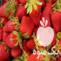 فروش بوته توت فرنگی کاماراسو در جویبار در گروه خرید فروش عمده توت فرنگی - خرید فروش عمده قرمز سفید در یکمیوه