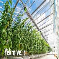 فروش هیترهای گرماتاب برای گلخانه در تهران در گروه خرید فروش تجهیزات گلخانه - صنعتی خانگی هوشمند دست دوم در یکمیوه