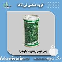 فروش بذر چمن شبدر زینتی دایکوندرا در تهران در گروه خرید فروش ابزار ها و تجهیزات کشاورزی - دستی برقی ماشینی بیل کلنگ در یکمیوه
