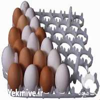 فروش انوع شانه و سبد دستگاه جوجه کشی در کرمانشاه در گروه تجهیزات دام و طیور - خرید فروش نو دسته دوم در یکمیوه