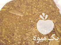 فروش کود گوسفندی کهنه و خشک در تنکابن در گروه خرید فروش کود و مواد شیمیایی - اوره پتاس مرغی کمپوست آهن در یکمیوه -عکس1