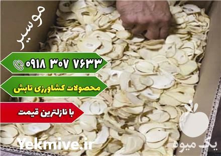 فروش پودر سیر و خلال سیر و موسیر سیر همدان در گروه میوه های خشک - پرتقال سیب حبه ورق صنعتی خانگی در یکمیوه -عکس1