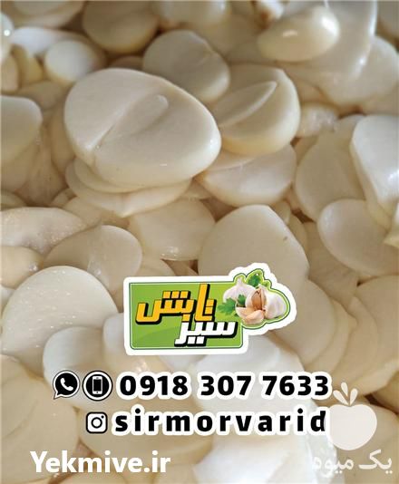 فروش عرضه مستقیم موسیر همدان در گروه خرید فروش عمده سیر - تازه خام ترشی خشک صادراتی در یکمیوه -عکس1