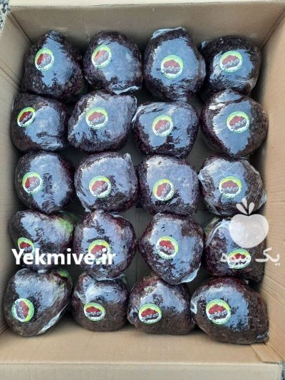 فروش کاهو فرانسوی در اصفهان در گروه خرید فروش عمده کاهو - رسمی پیچ سالادی فرانسوی چینی قرمز در یکمیوه -عکس2