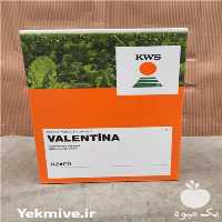 فروش بذر چغندر قند kws در تهران در گروه خرید فروش بذر - انواع محصول کشاورزی گوجه کتان میوه درخت در یکمیوه