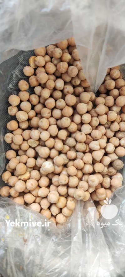 نخود سایز شش در تبریز در گروه خرید فروش عمده غلات و حبوبات - لپه عدس نخود لوبیا در یکمیوه -عکس1
