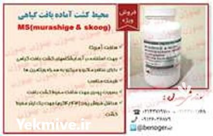 فروش محیط کشت آماده بافت گیاهی در تهران در گروه سایر محصولات خاک و تغذیه و نهال در یکمیوه -عکس1