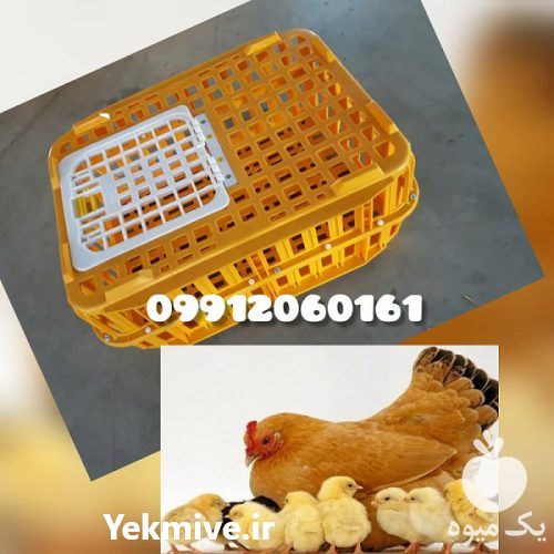 فروش قفس حمل مرغ زنده در بوئین زهرا در گروه تجهیزات مرغداری در یکمیوه -عکس1