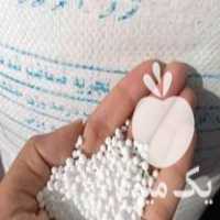 فروش انواع کود و سم و بذر در تهران در گروه خرید فروش بذر - انواع محصول کشاورزی گوجه کتان میوه درخت در یکمیوه