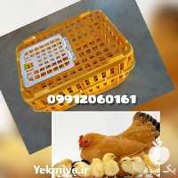 فروش قفس حمل مرغ زنده در بوئین زهرا در گروه تجهیزات مرغداری در یکمیوه