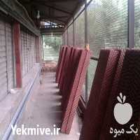 فروش پد سلولزی فنلاندی گلخانه و مرغداری در قزوین در گروه خرید فروش تجهیزات گلخانه - صنعتی خانگی هوشمند دست دوم در یکمیوه