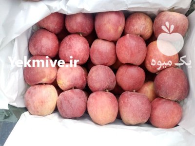 سیب قرمز سردخانه در ارومیه در گروه خرید فروش عمده سیب - زرد و قرمز گلاب پاییزه در یکمیوه -عکس1