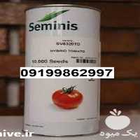 فروش بذر گوجه فرنگی 8320 اصل در قزوین در گروه خرید فروش بذر - انواع محصول کشاورزی گوجه کتان میوه درخت در یکمیوه