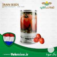 فروش بذر گوجه فرنگی کیمیا F 1 در تهران در گروه خرید فروش بذر - انواع محصول کشاورزی گوجه کتان میوه درخت در یکمیوه