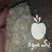 فروش کاه گندم و کلزا خرد شده در جویبار در گروه خوراک دام و طیور - پرواری شیری علوفه یونجه در یکمیوه