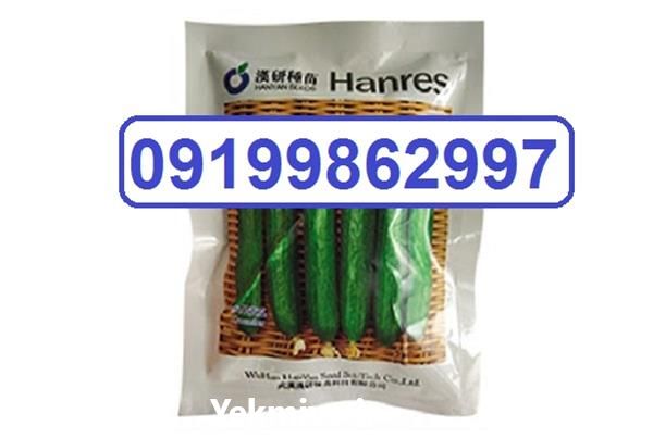 فروش بذر خیار ویکتوریا در فضای باز و گلخانه در کرمان  در گروه خرید فروش بذر - انواع محصول کشاورزی گوجه کتان میوه درخت در یکمیوه -عکس1