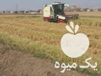 فروش کمباین هانور 2021 چاپر دار در جویبار در گروه خرید فروش ماشین آلات کشاورزی - تراکتور تیلر کمباین مدرن در یکمیوه -عکس1