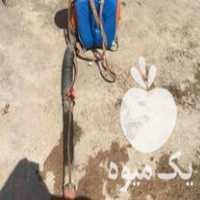 فروش سمپاش سولو اصل المان در حدنو در چورزق در گروه خرید فروش ابزار ها و تجهیزات کشاورزی - دستی برقی ماشینی بیل کلنگ در یکمیوه