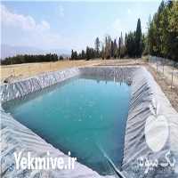 فروش ساخت استخر پلیمری ژئوممبران در شیراز در گروه خرید فروش انواع پوشش ها و ورق ها - پلی استر پلی کربنات نایلون در یکمیوه