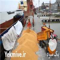 فروش خوراک دام و طیور و آبزیان در اصفهان در گروه خوراک دام و طیور - پرواری شیری علوفه یونجه در یکمیوه