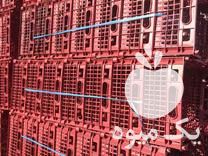 تولید و فروش انواع سبد میوه درب کارخانه در ساری در گروه خرید فروش انواع سبد - میوه پلاستیکی چوبی گل در یکمیوه -عکس1