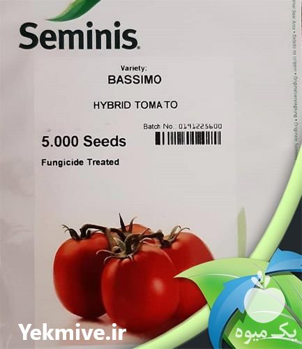 فروش بذر گوجه فرنگی باسیمو اصل با کیفیت در هرمز در گروه خرید فروش بذر - انواع محصول کشاورزی گوجه کتان میوه درخت در یکمیوه -عکس1