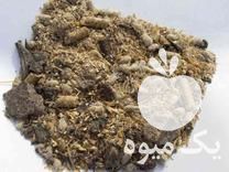 فروش خوراک دام شیری و پرواری در بهشهر در گروه خوراک دام و طیور - پرواری شیری علوفه یونجه در یکمیوه -عکس1