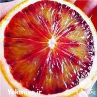 فروش میوه جات مرکبات پرتقال در بهشهر در گروه خرید فروش عمده پرتقال - پرتقال رسمی تامسون خونی جنوب در یکمیوه