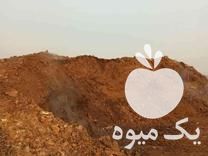 فروش پخش کود گاوی و گوسفندی پوسیده در تهران در گروه خرید فروش کود و مواد شیمیایی - اوره پتاس مرغی کمپوست آهن در یکمیوه -عکس1