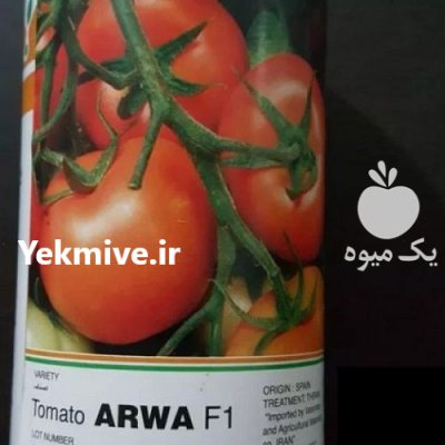 قیمت بذر گوجه آروا در اردبیل در گروه خرید فروش عمده گوجه فرنگی - فرنگی سبز قرمز سیاه کبابی ربی در یکمیوه -عکس2