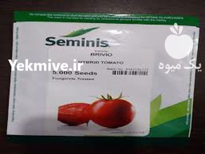 قیمت بذر گوجه بریویو سمینس در اصفهان در گروه خرید فروش بذر - انواع محصول کشاورزی گوجه کتان میوه درخت در یکمیوه -عکس3