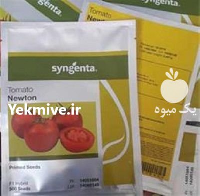 بذر گوجه گلخانه ای نیوتون در ایلام در گروه خرید فروش بذر - انواع محصول کشاورزی گوجه کتان میوه درخت در یکمیوه -عکس1