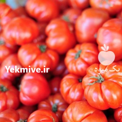 قیمت بذر گوجه فرنگی بیف در تبریز در گروه خرید فروش بذر - انواع محصول کشاورزی گوجه کتان میوه درخت در یکمیوه -عکس1